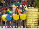 Jolly Jumpers